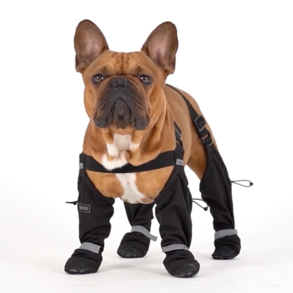 Dog Suspender Boots (NWOT)